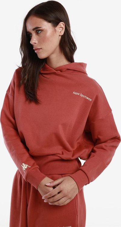 Felpe Kappa MAGLIA Marrone Rosato