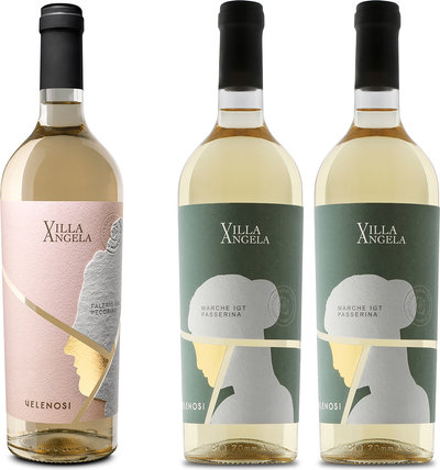 Selezioni miste 3 bottiglie miste: 1 Pecorino Villa Angela 2023 - 2 Passerina Villa Angela 2023