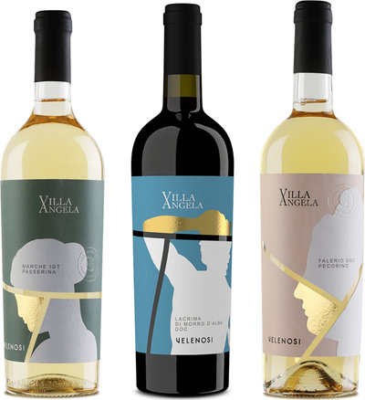 Selezioni miste 3 bottiglie miste: 1 Passerina 2023 - 1 Lacrima di Morro 2021 - 1 Pecorino 2023