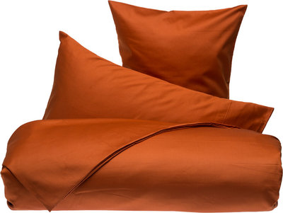 Biancheria Letto Parure letto, bruciato 105S - piazza e mezzo