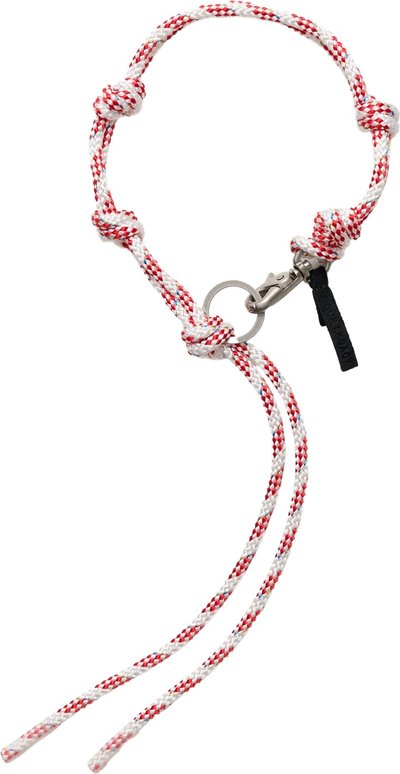 Lanyard