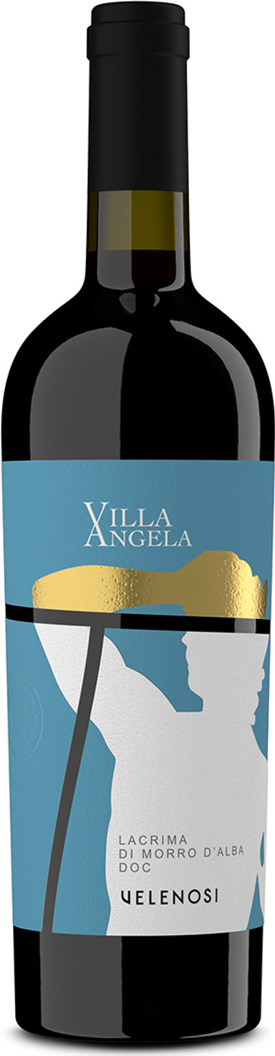 Vini rossi 3 bottiglie - Lacrima di Morro d'Alba DOC Classico 2021