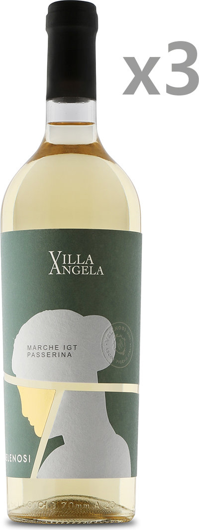 Vini bianchi 3 bottiglie - Passerina Marche IGT 2023