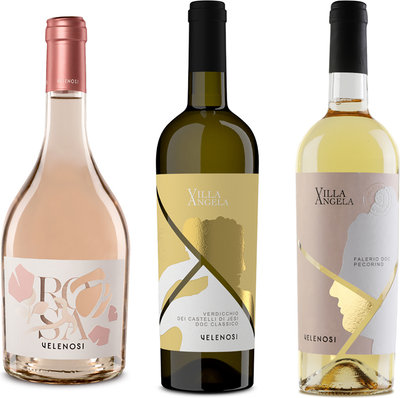 Selezioni miste 3 bottiglie miste: Rosè Marche IGT 2023 - Verdicchio DOC 2023 - Falerio Pecorino DOC 2023