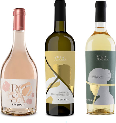 Selezioni miste 3 bottiglie miste: Rosè Marche IGT 2023 - Verdicchio DOC 2023 - Passerina Marche IGT 2023