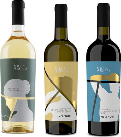Selezioni miste 3 bottiglie miste: Passerina Marche IGT 2023 - Verdicchio DOC 2023 - Lacrima di Morro d'Alba DOC Classico 2021
