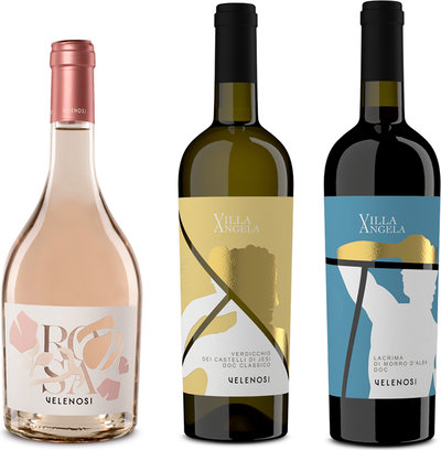 Selezioni miste 3 bottiglie miste: Rosè Marche IGT 2023 - Verdicchio DOC 2023 - Lacrima di Morro d'Alba DOC Classico 2021