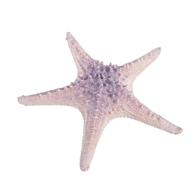 Estrella de mar violeta de ICA (16 cm) — ICA S.A.