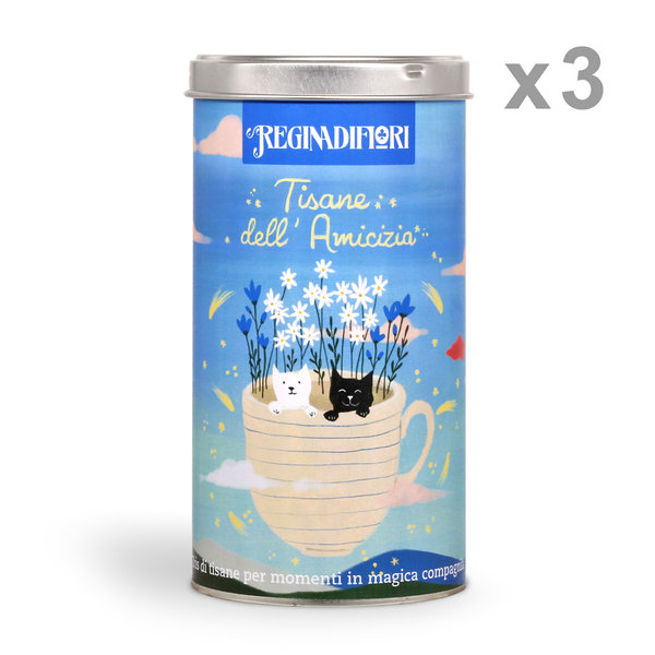 3 lattine regalo - 12 filtri assortiti Tisane dell'Amicizia (12x3gr=36gr) Regina di Fiori vista0