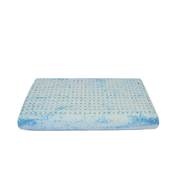 Micro best sale latex pillow