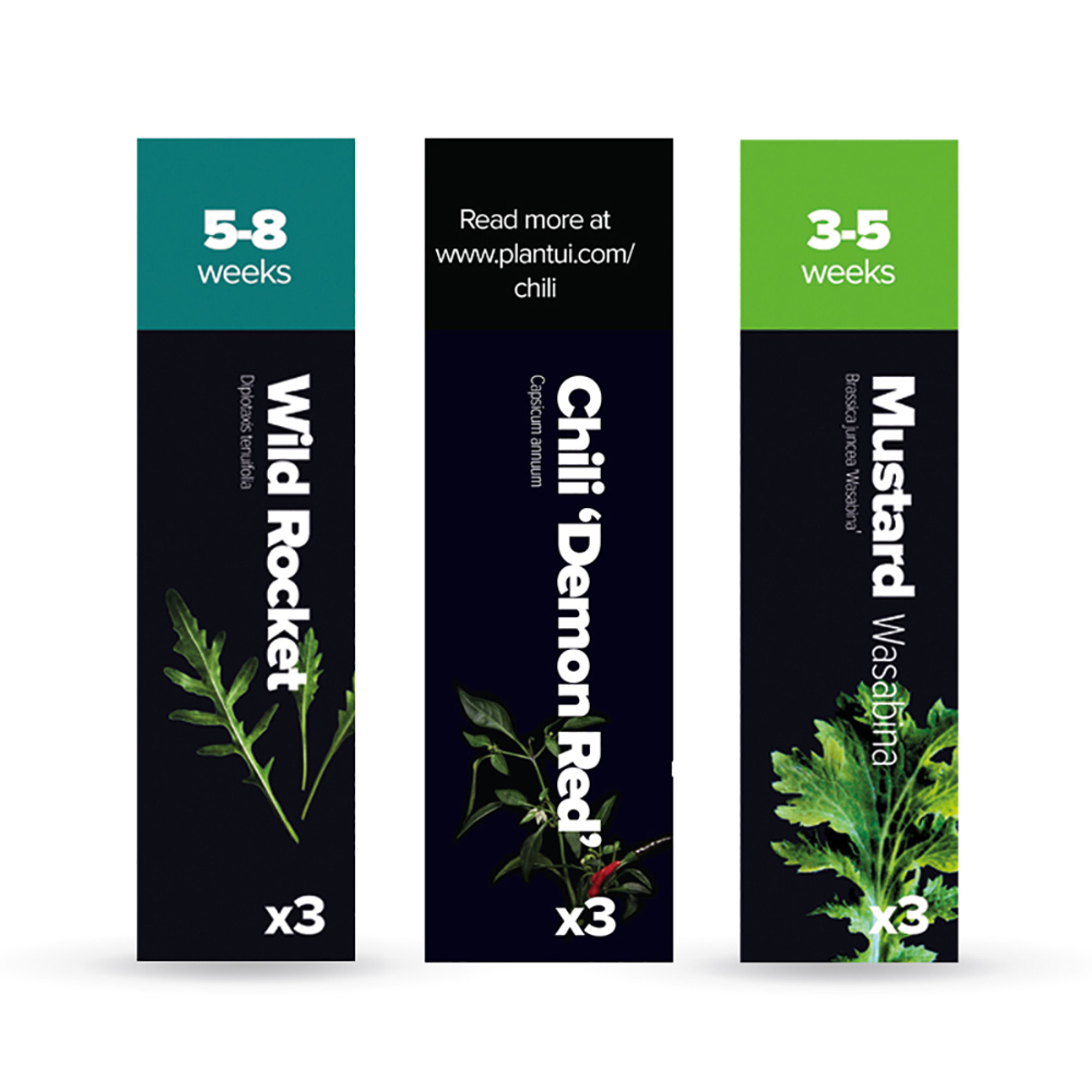 Kit 5: Rucola selvatica, Peperoncino rosso piccante, Senape indiana wasabina Plantui Italia vista0