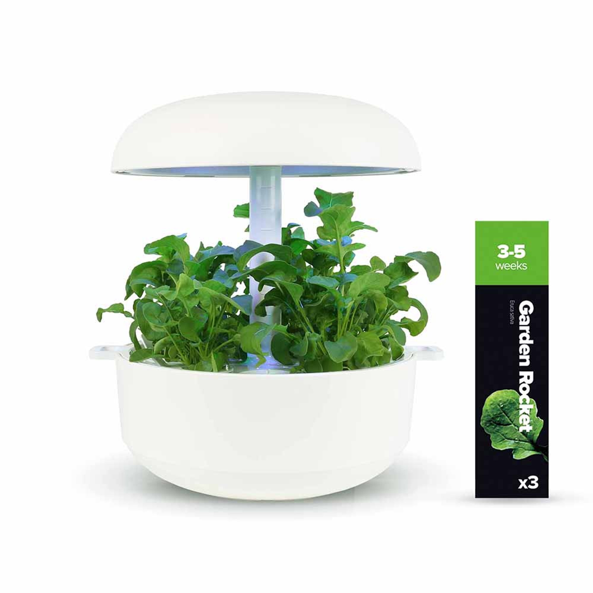 Confezione Multipla - Salad Bomb Plantui Italia vista6