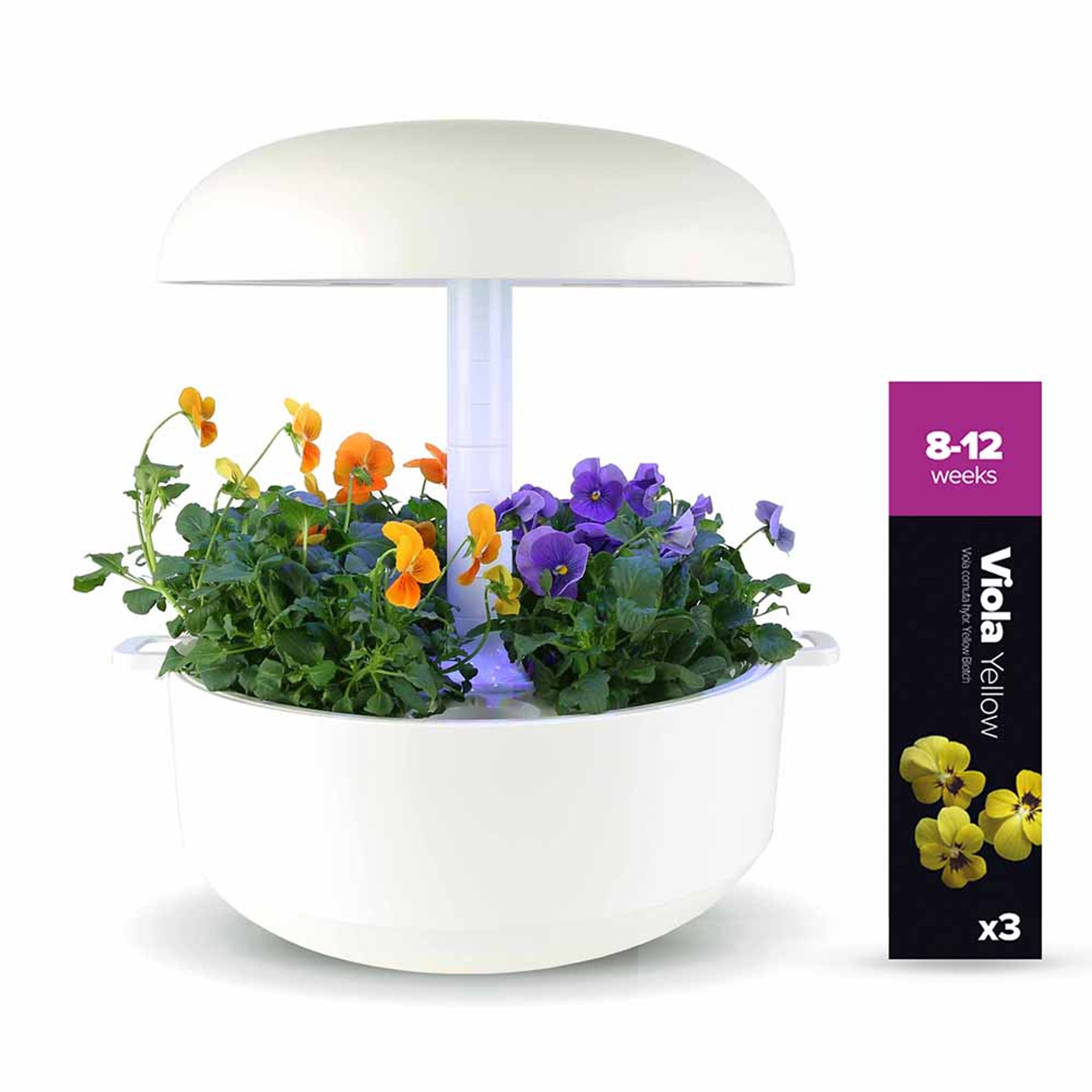 Confezione Multipla - Edible Flowers Plantui Italia vista4
