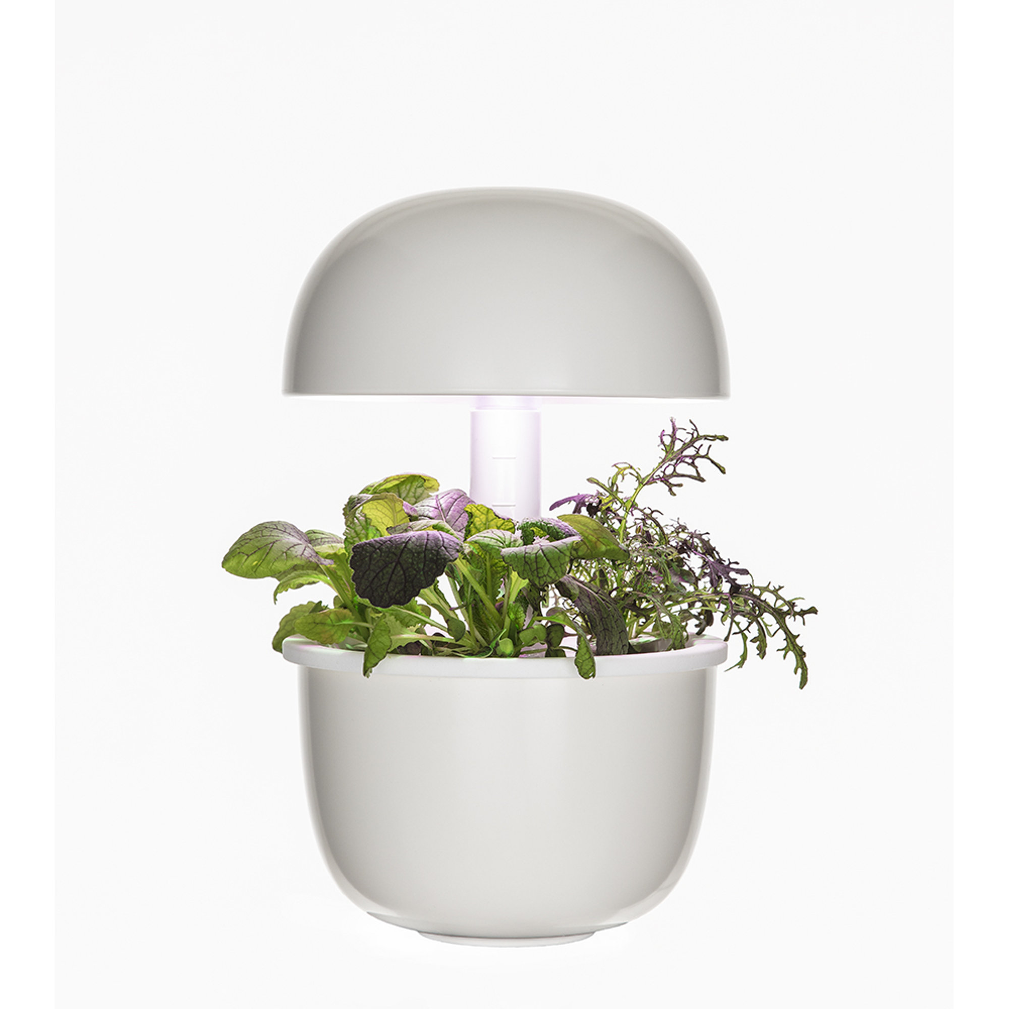 Plantui 3 Smart Garden, Bianco Plantui Italia vista4