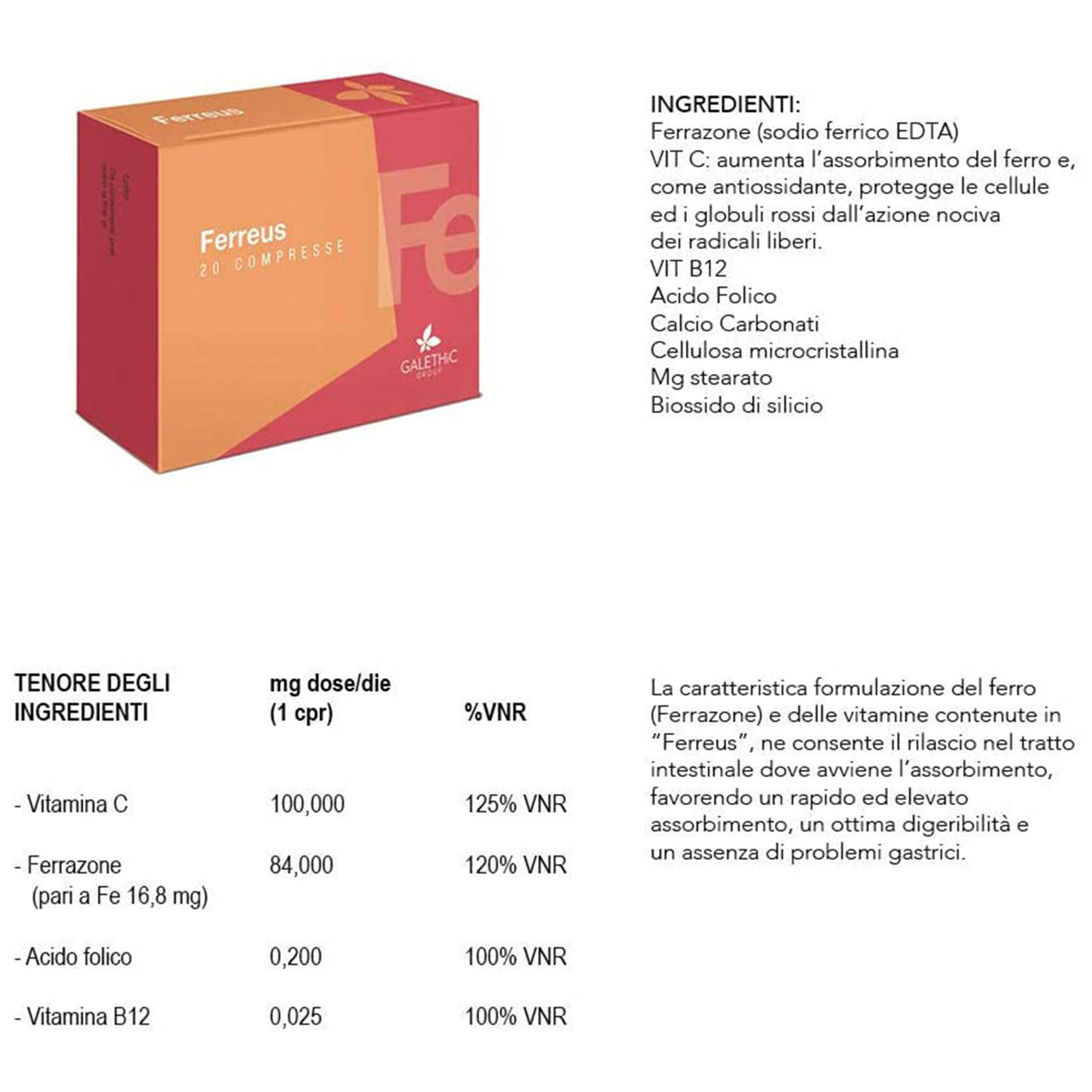 2 envases de 20 comprimidos - FERREUS Hierro en tabletas Galethic vista1