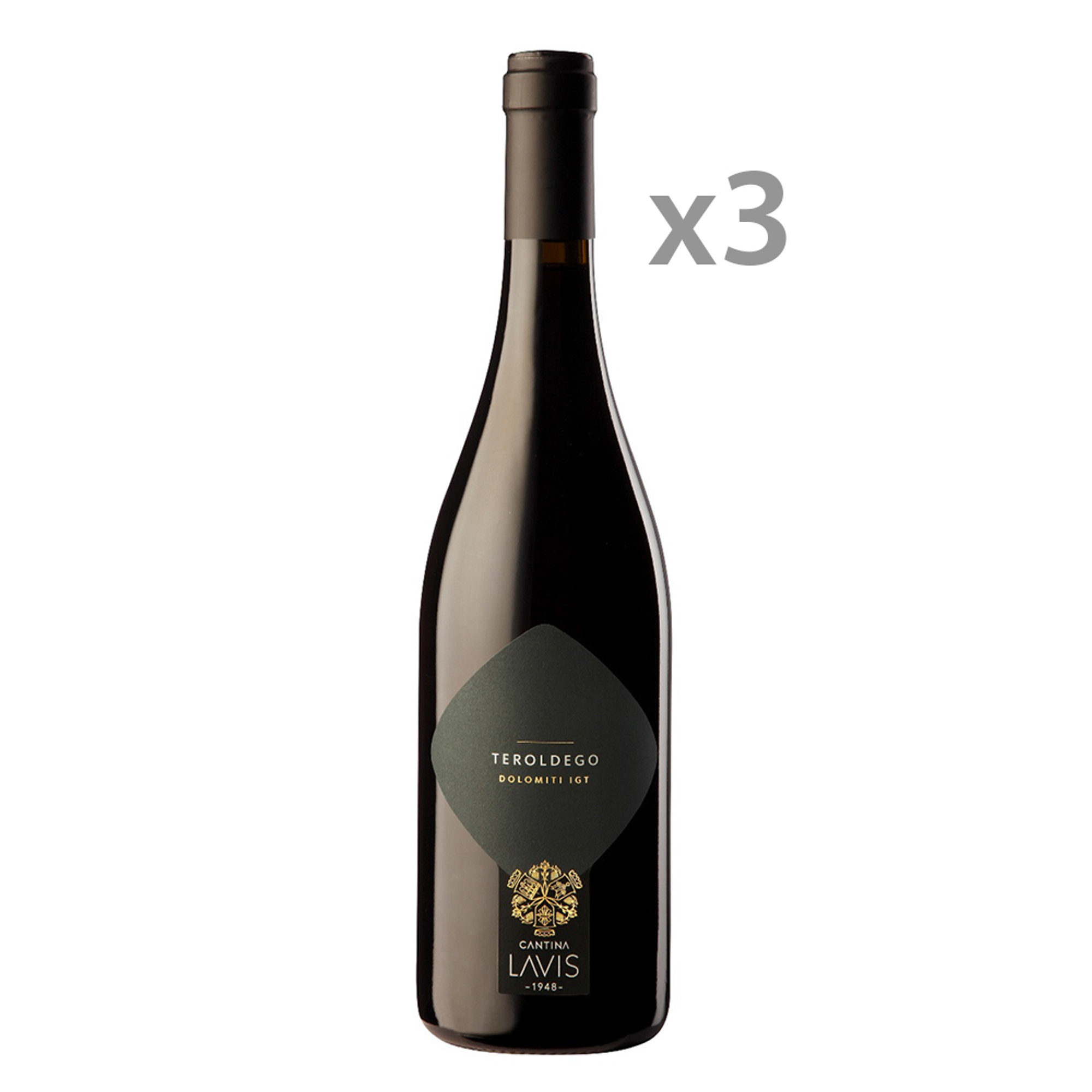3 bottiglie - Teroldego vigneti delle dolomiti IGT 2021 Lavis vista0