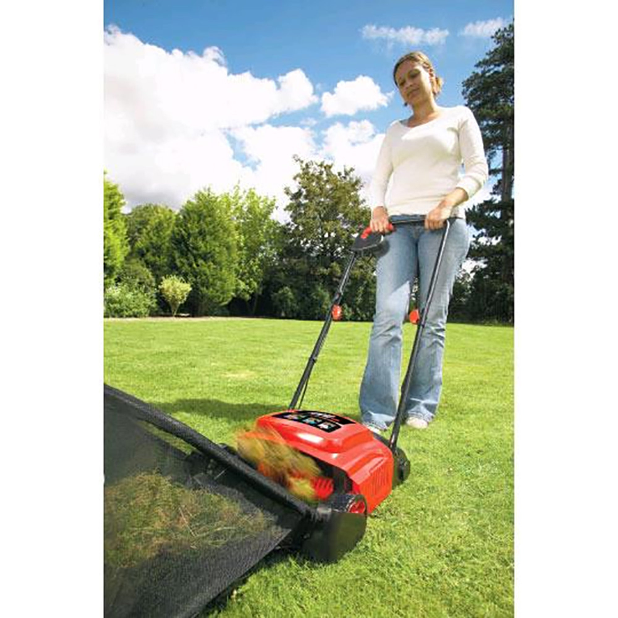 Escarificador Black+Decker GD300-Qs Speciale fai da te vista3