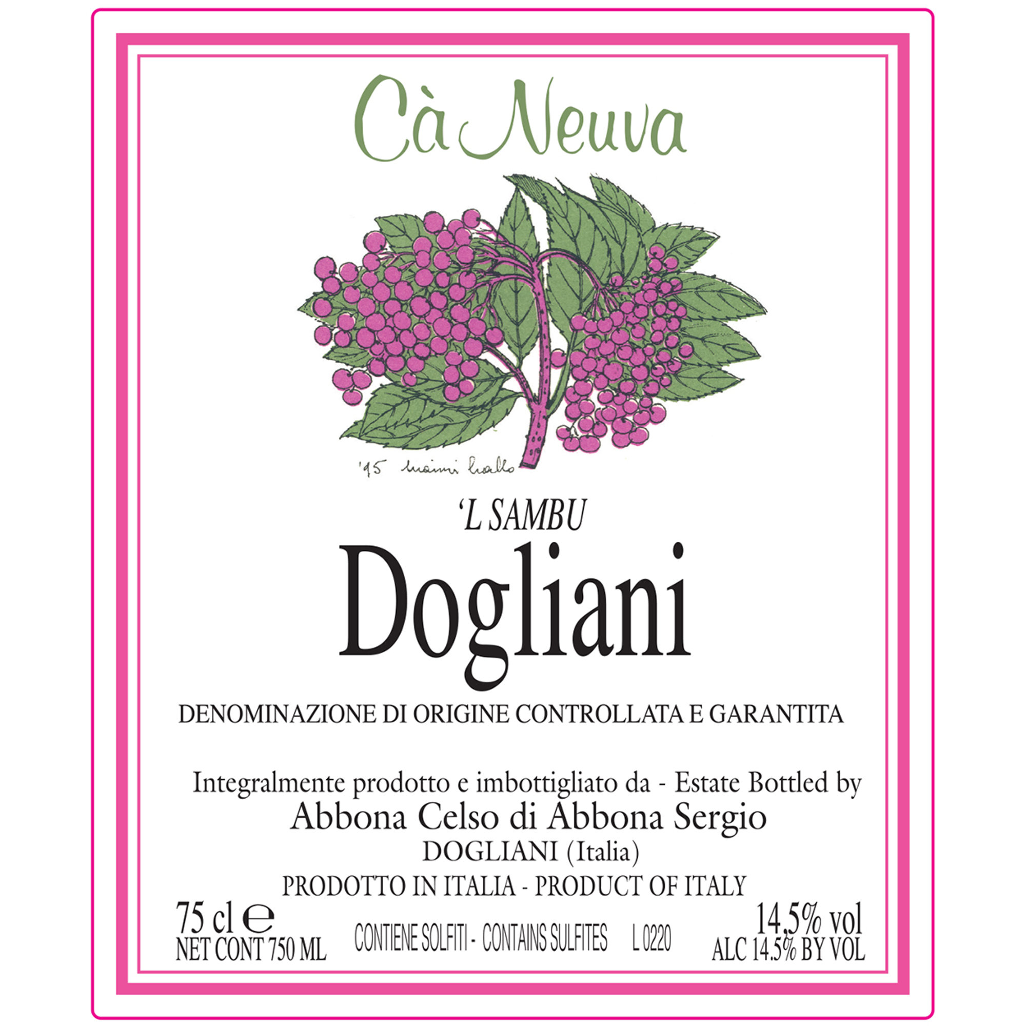 3 bottiglie miste: Barolo DOCG 2017 - Dogliani DOCG Sambu 2019 - Dogliani DOCG Superiore 2019 Cà Neuva vista4