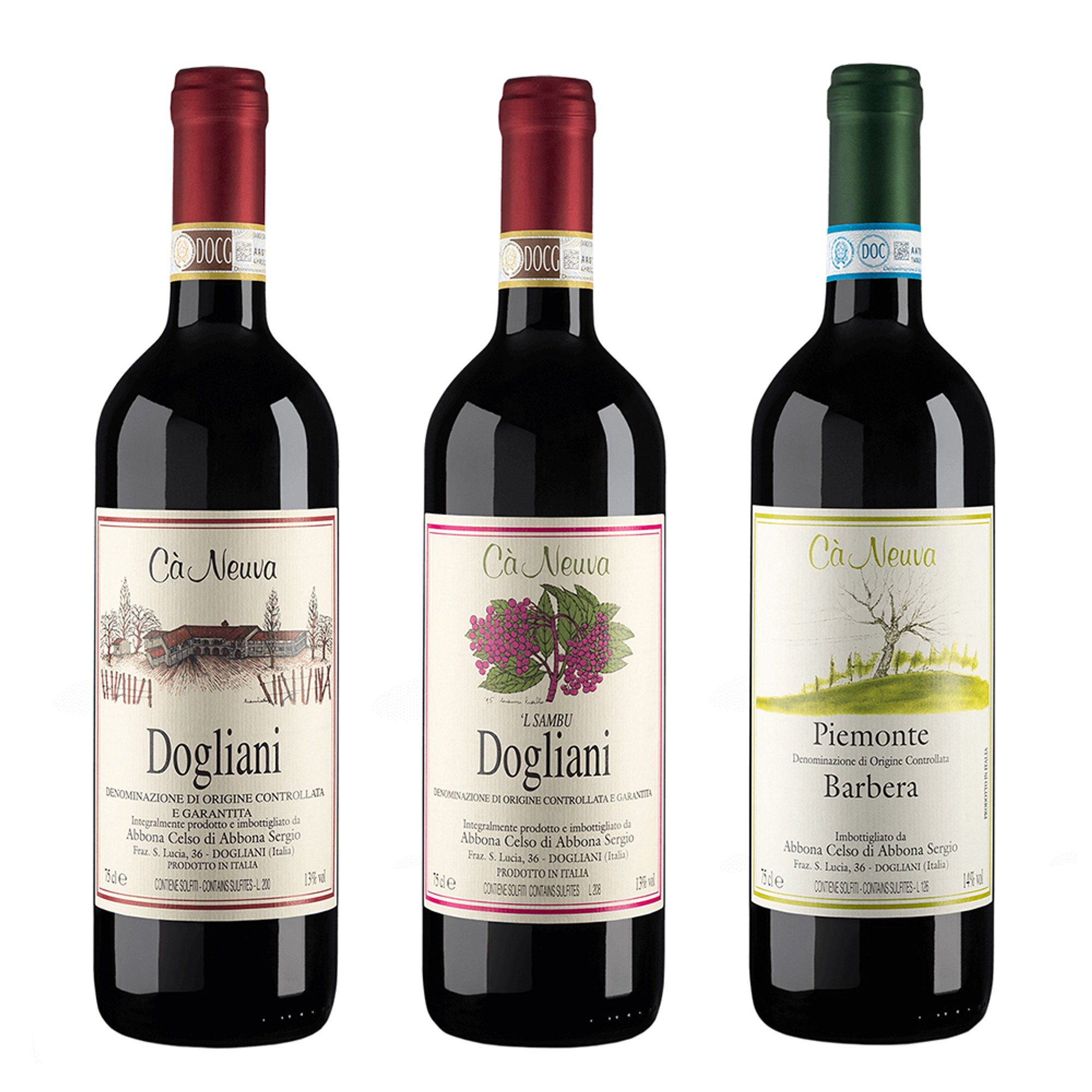 3 bottiglie miste: Dogliani DOCG Superiore 2019 - Dogliani DOCG Sambu 2019 - Piemonte DOC Barbera 2019 Cà Neuva vista0