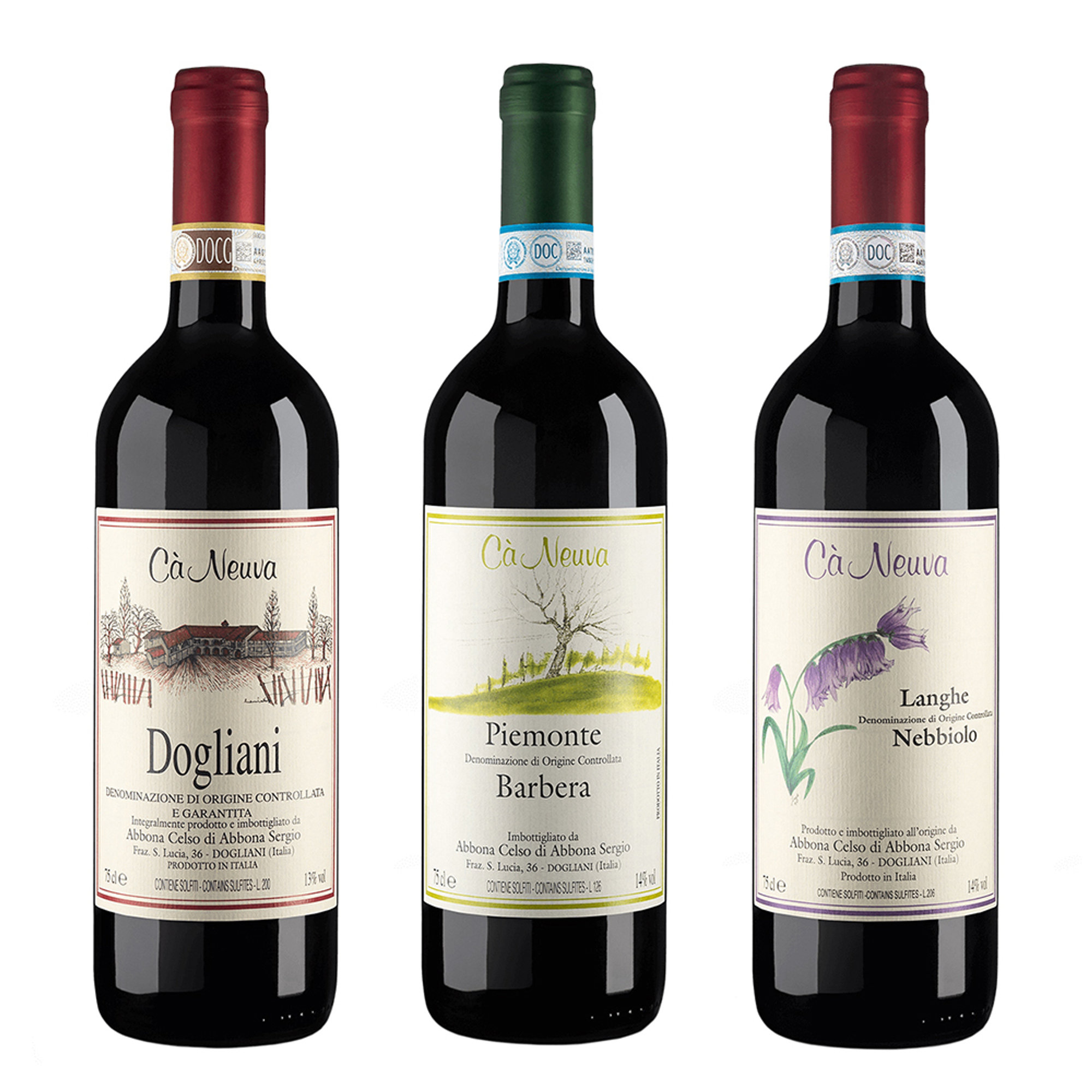 3 bottiglie miste: Dogliani DOCG Superiore 2019 - Piemonte DOC Barbera 2019 - Langhe DOC Nebbiolo 2020 Cà Neuva vista0
