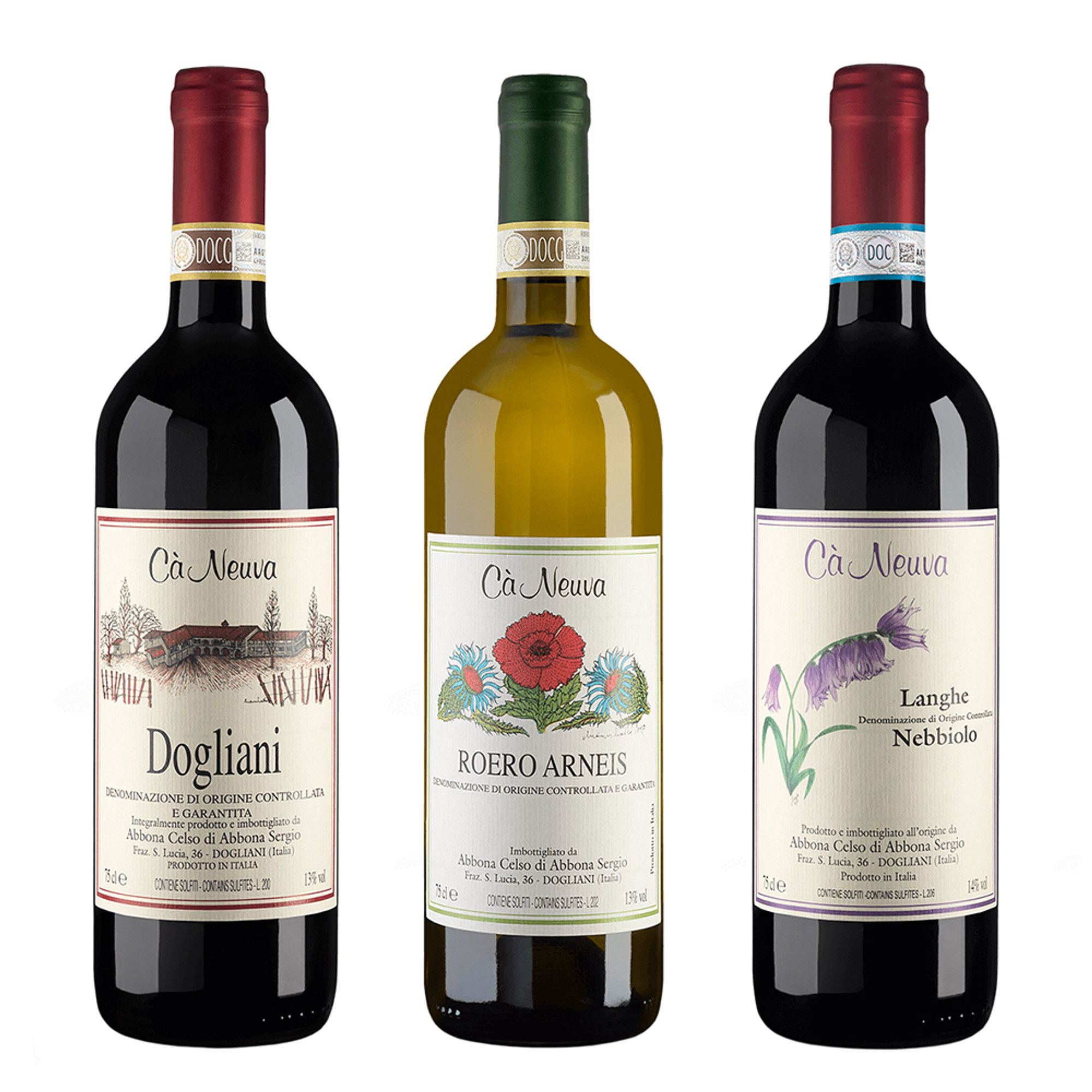 3 bouteilles mélangées : Dogliani DOCG Superiore 2019 - Roero Arneis DOCG 2020 - Langhe DOC Nebbiolo 2020 Cà Neuva vista0