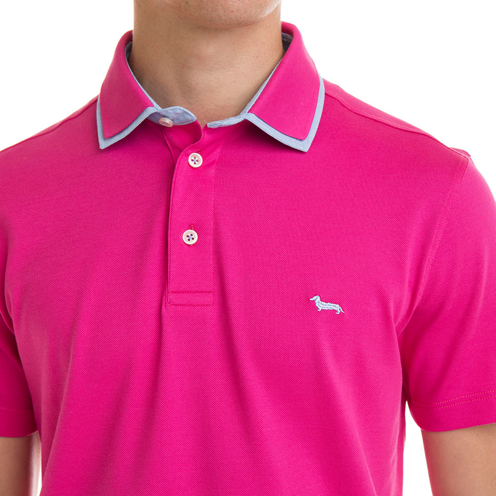 Polo fucsia a doppio collo HARMONT & BLAINE  vista3