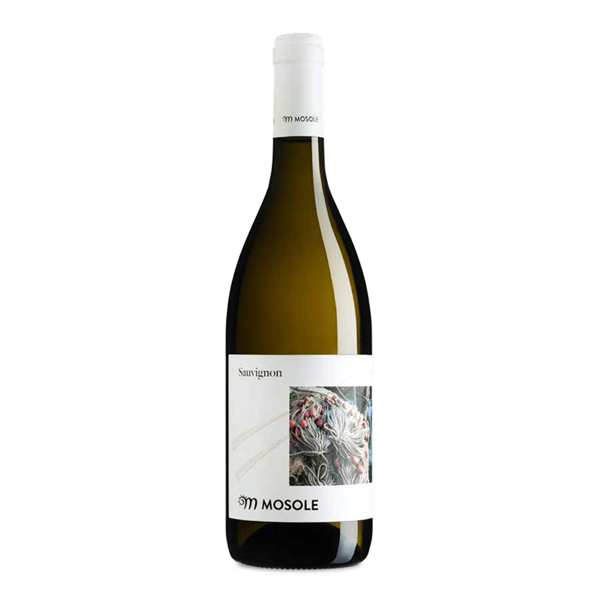 3 bottiglie miste: Sauvignon IGT 2021 - Pinot Grigio DOC Venezia 2021 - Ribolla Gialla IGT Trevenezie 2021 Tenuta Mosole vista1