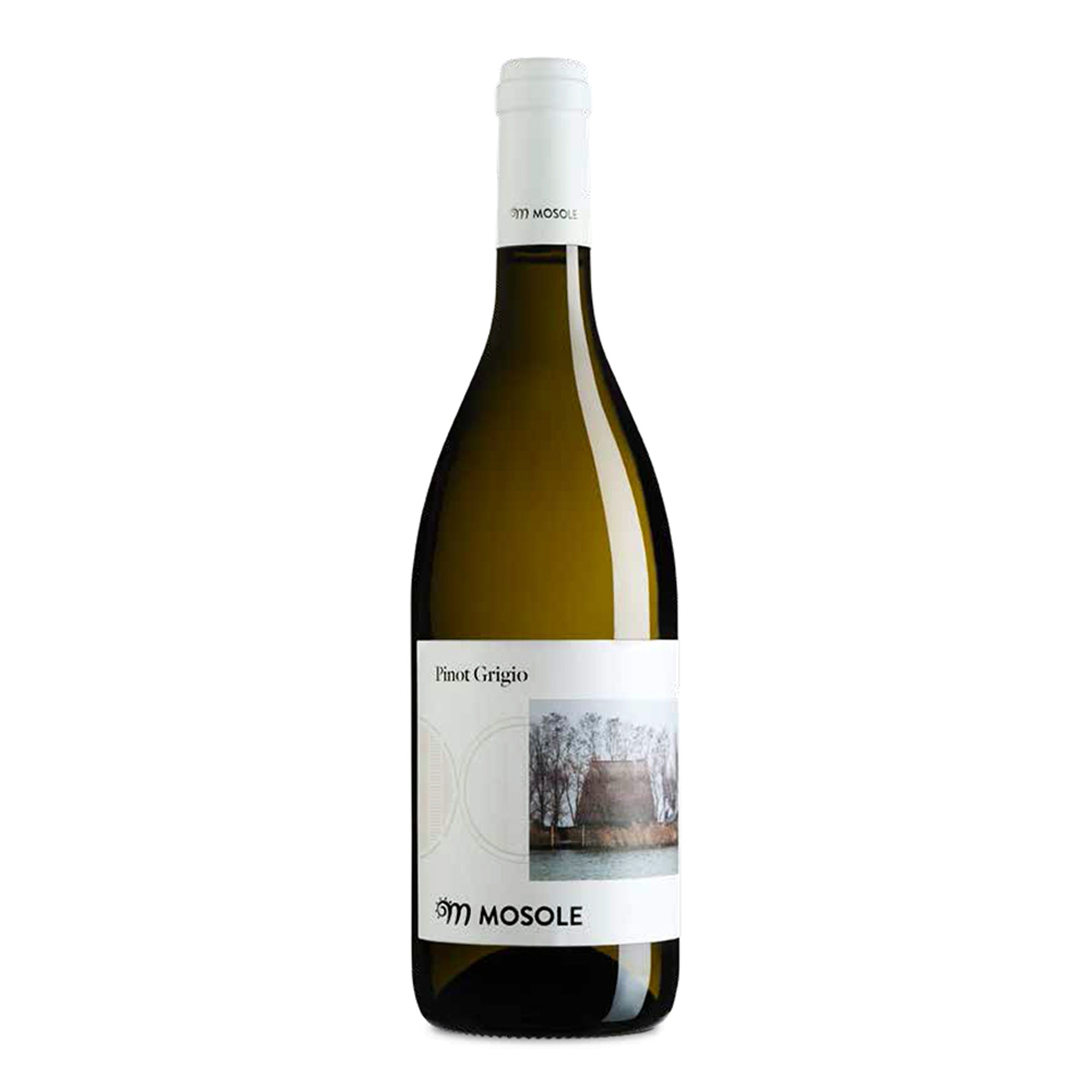 3 bottiglie miste: Sauvignon IGT 2021 - Pinot Grigio DOC Venezia 2021 - Ribolla Gialla IGT Trevenezie 2021 Tenuta Mosole vista2