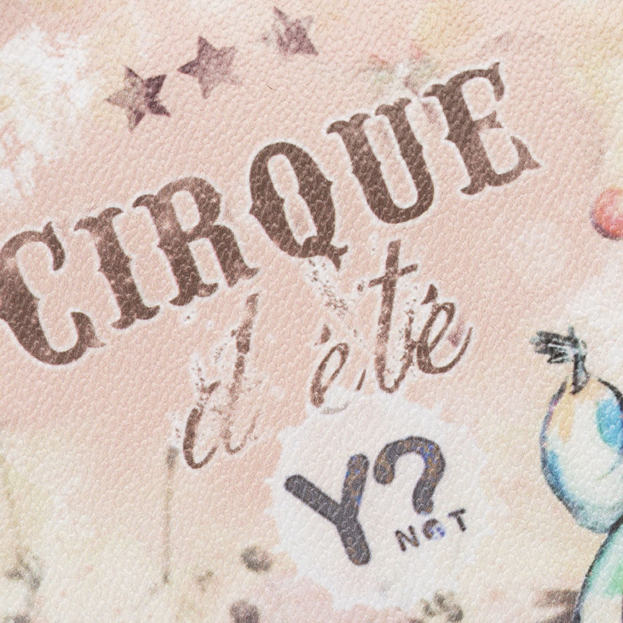 Pochette Circo-Clown multicolor Y Not vista3