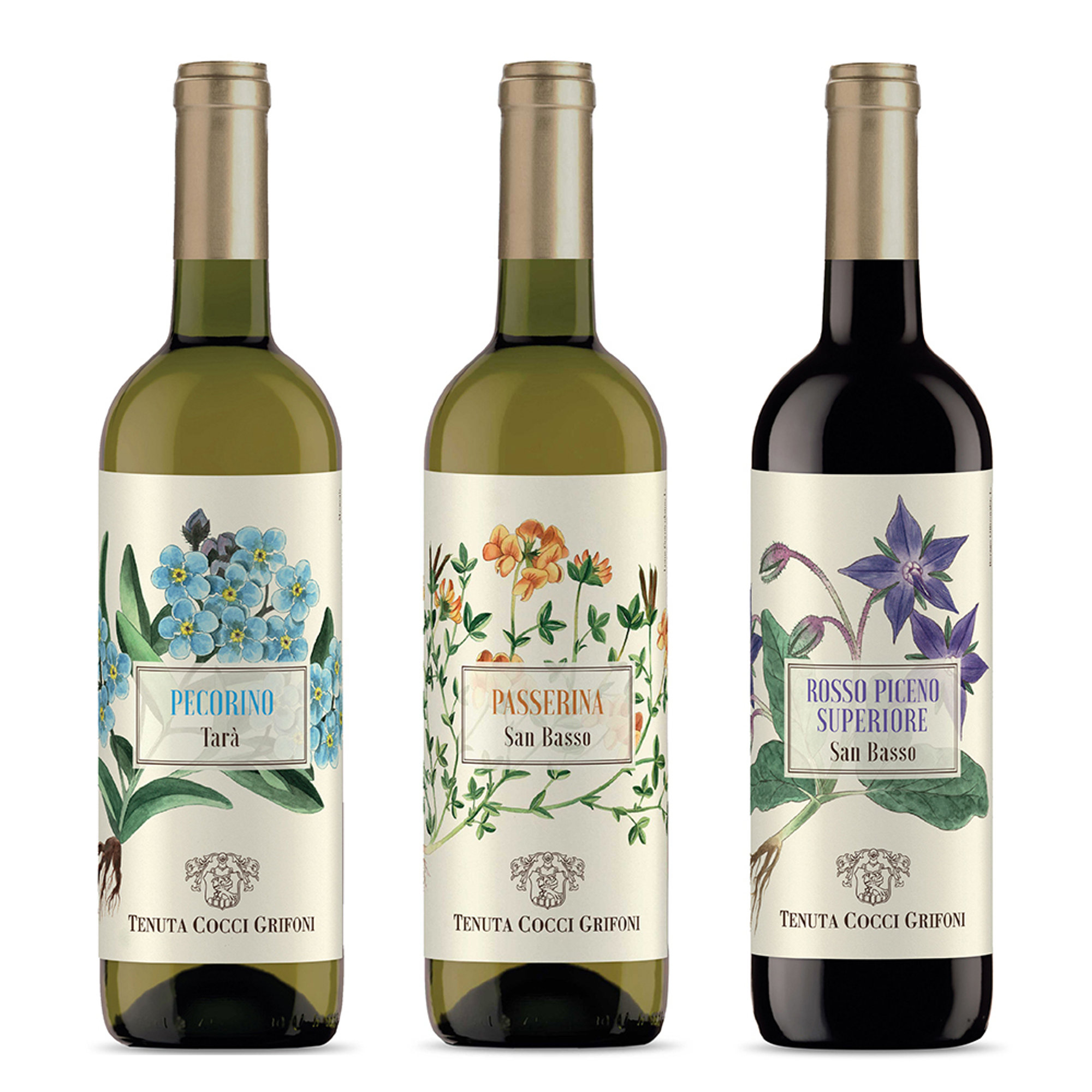 3 bottiglie miste: Falerio DOC Pecorino Tenuta Tarà 2023 - Passerina Marche IGT Tenuta San Basso 2023 - Rosso Piceno DOC Superiore Tenuta San Basso 2023 Cocci Grifoni vista0
