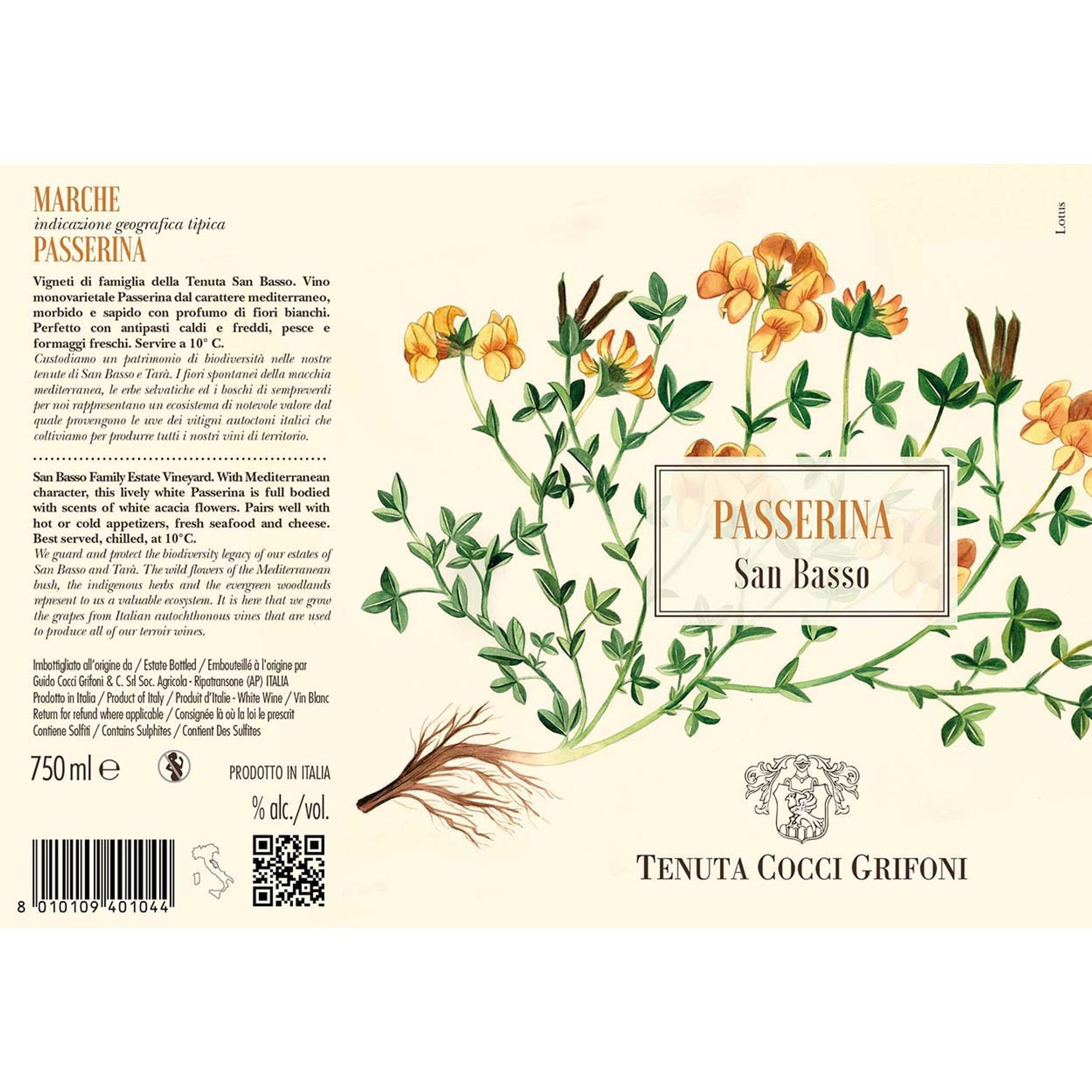 3 bottiglie miste: Falerio DOC Pecorino Tenuta Tarà 2023 - Passerina Marche IGT Tenuta San Basso 2023 - Rosso Piceno DOC Superiore Tenuta San Basso 2023 Cocci Grifoni vista4