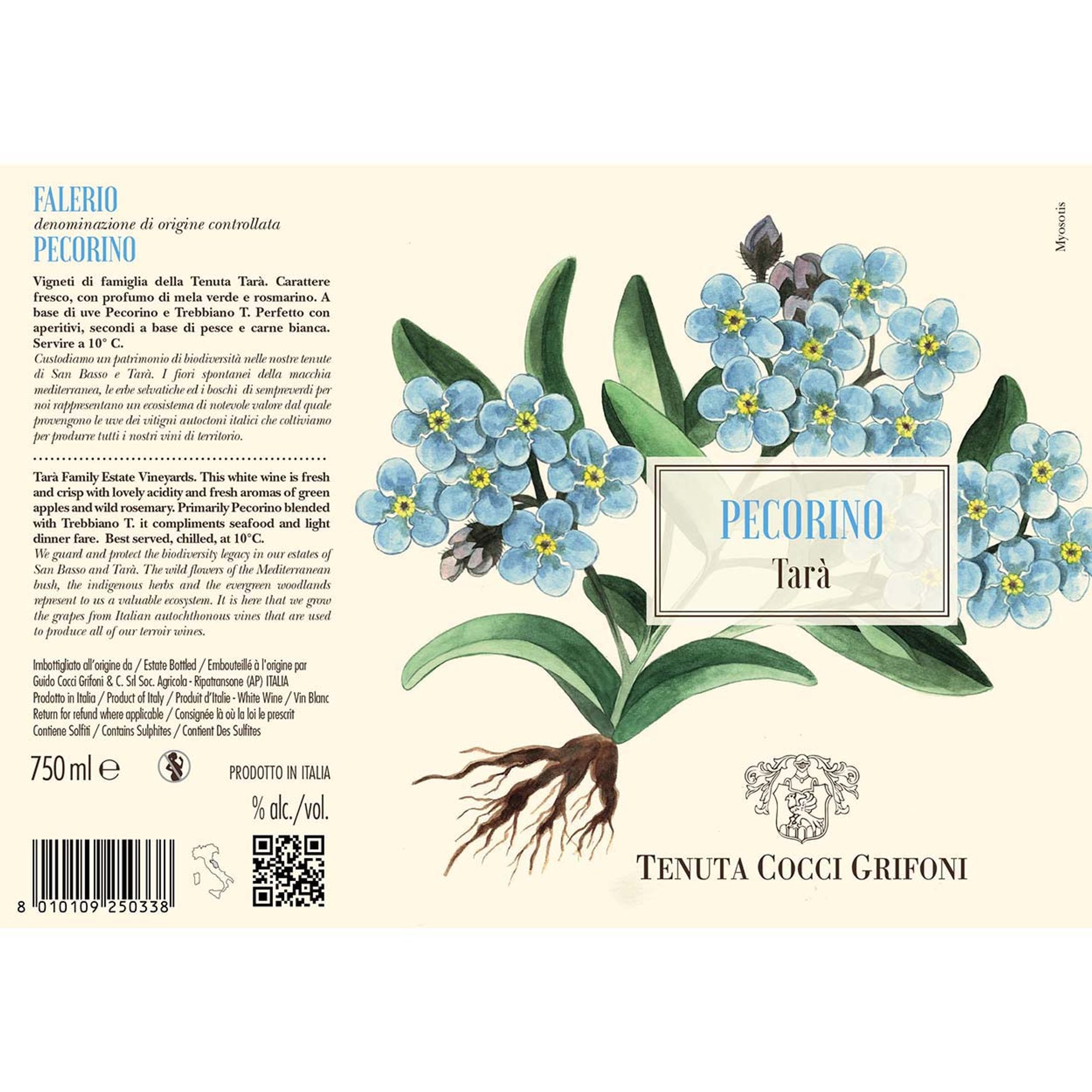 3 bottiglie miste: Falerio DOC Pecorino Tenuta Tarà 2023 - Passerina Marche IGT Tenuta San Basso 2023 - Rosso Piceno DOC Superiore Tenuta San Basso 2023 Cocci Grifoni vista2
