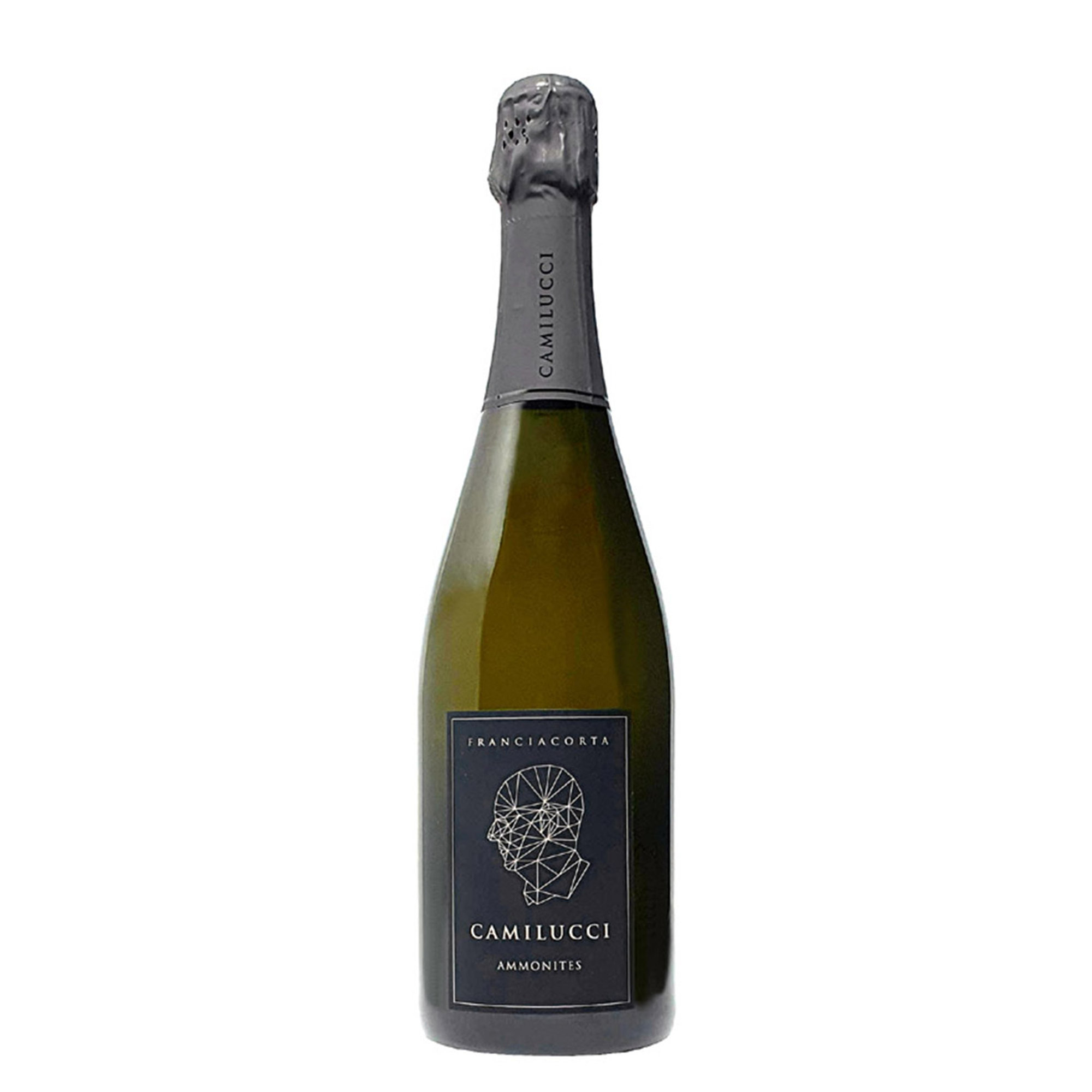 1 bouteille - Ammonites Franciacorta Brut DOCG Camilucci vista0