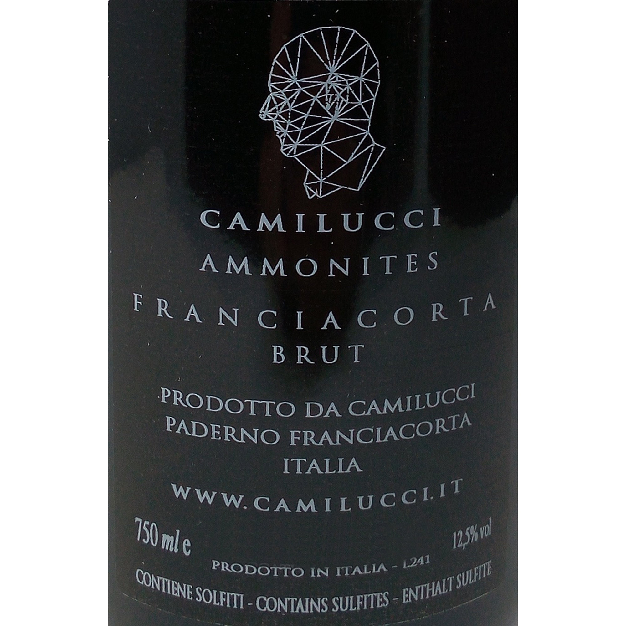 1 bouteille - Ammonites Franciacorta Brut DOCG Camilucci vista1