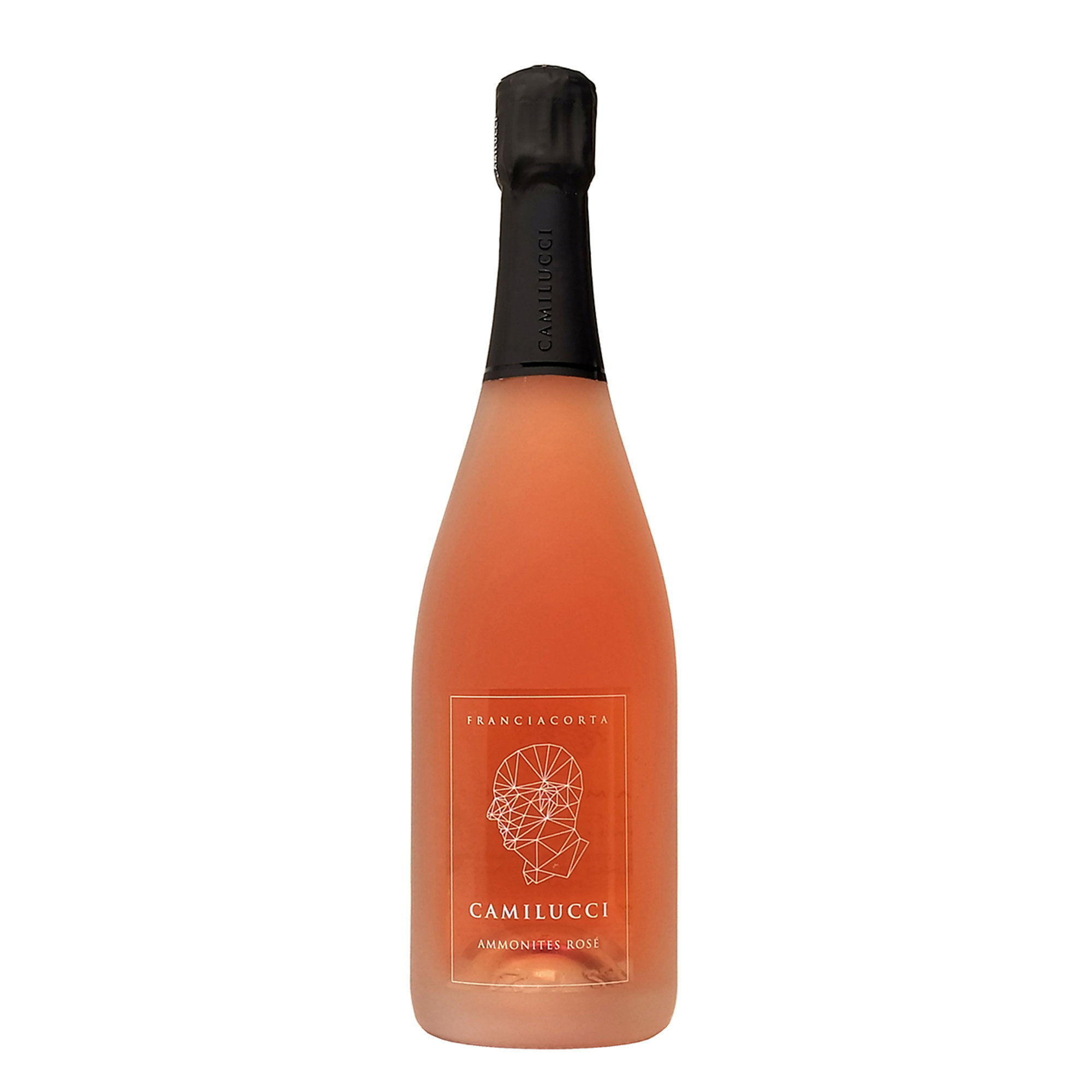 1 bottiglia - Ammonites Rosè Franciacorta Brut DOCG Camilucci vista0