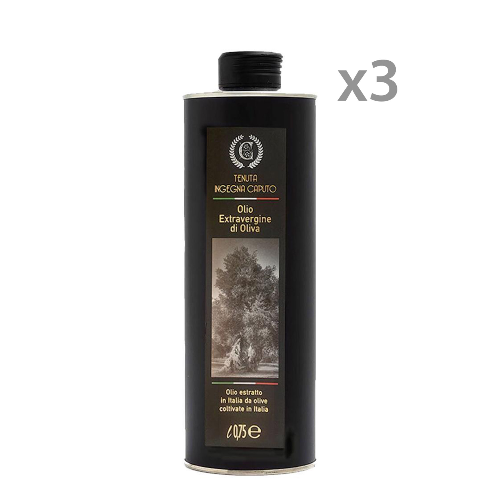 3 latas - EVO Oil 75 cl Ingegna Caputo vista0