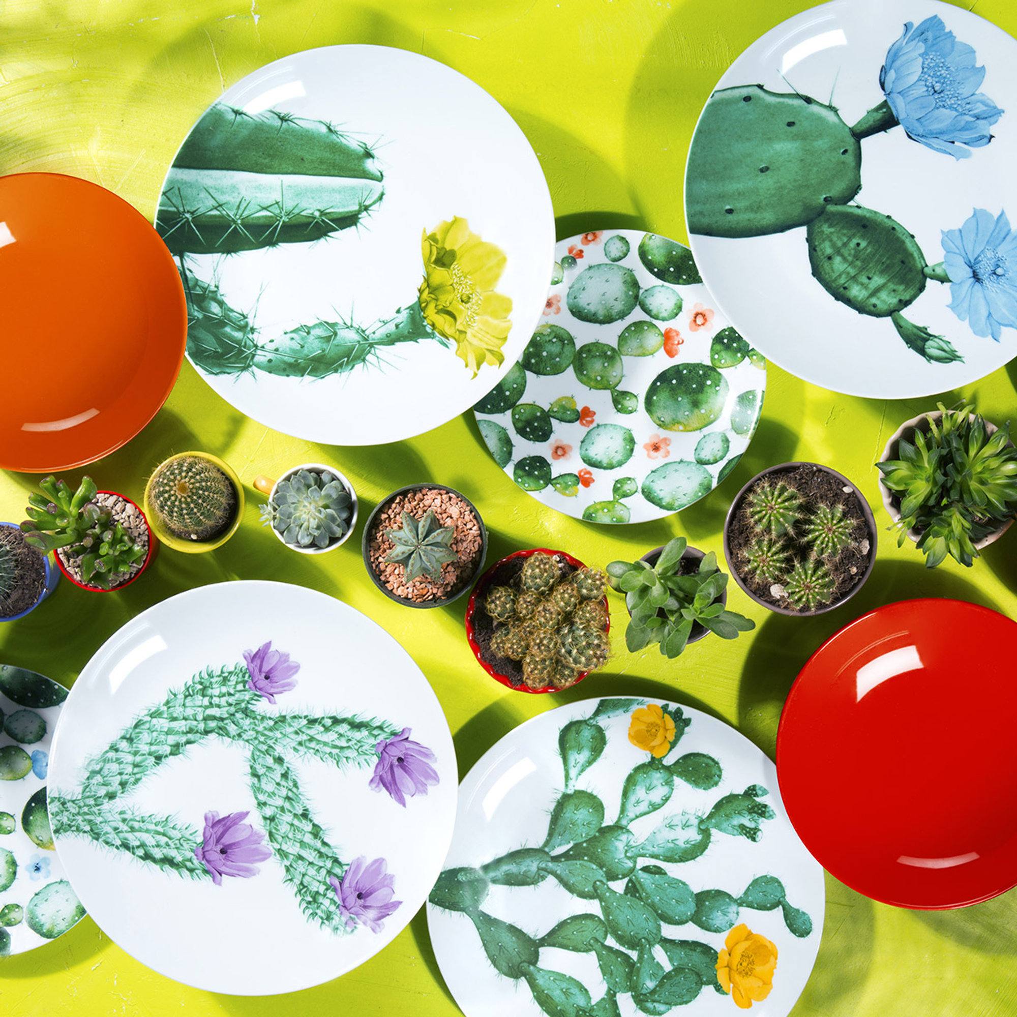 Servizio piatti 18 pz. Color Cactus, assortiti Tavola delle feste vista8