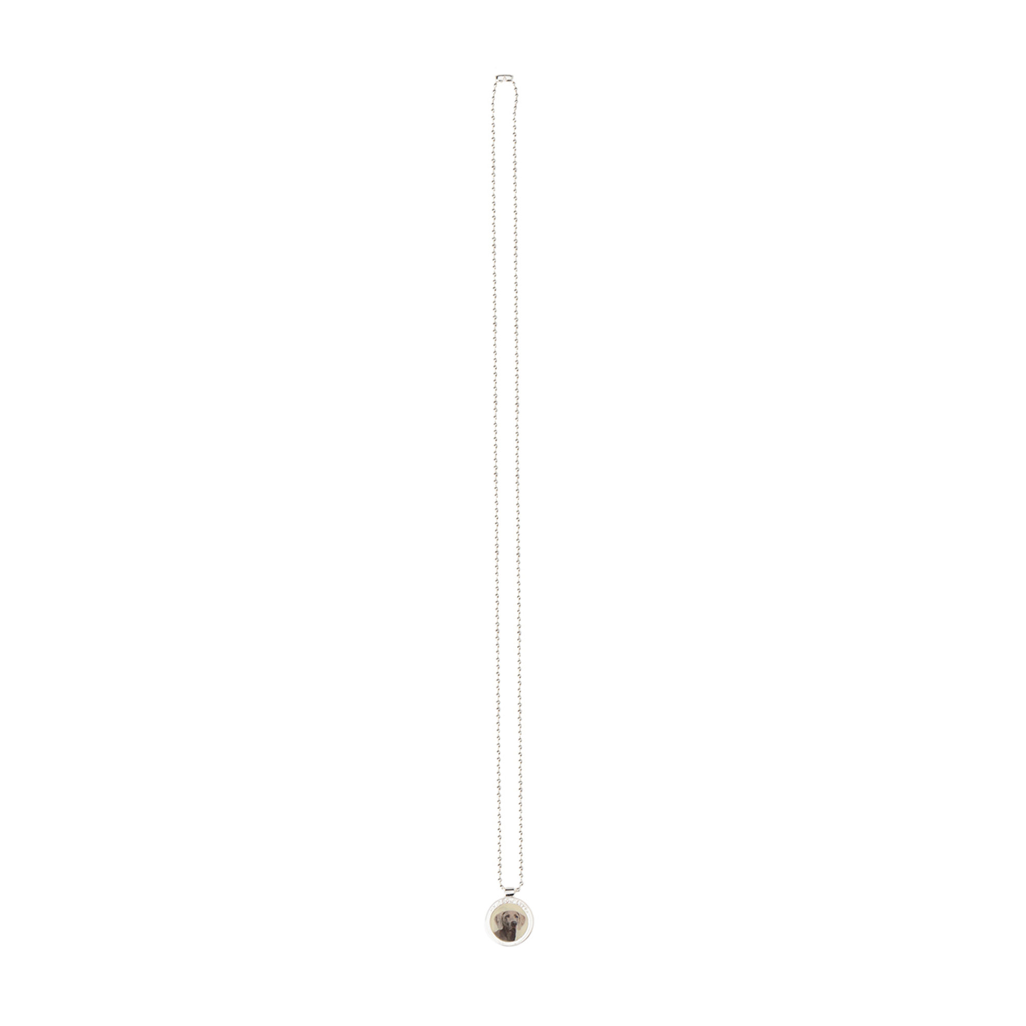Collana Weimaraner Silverart vista2