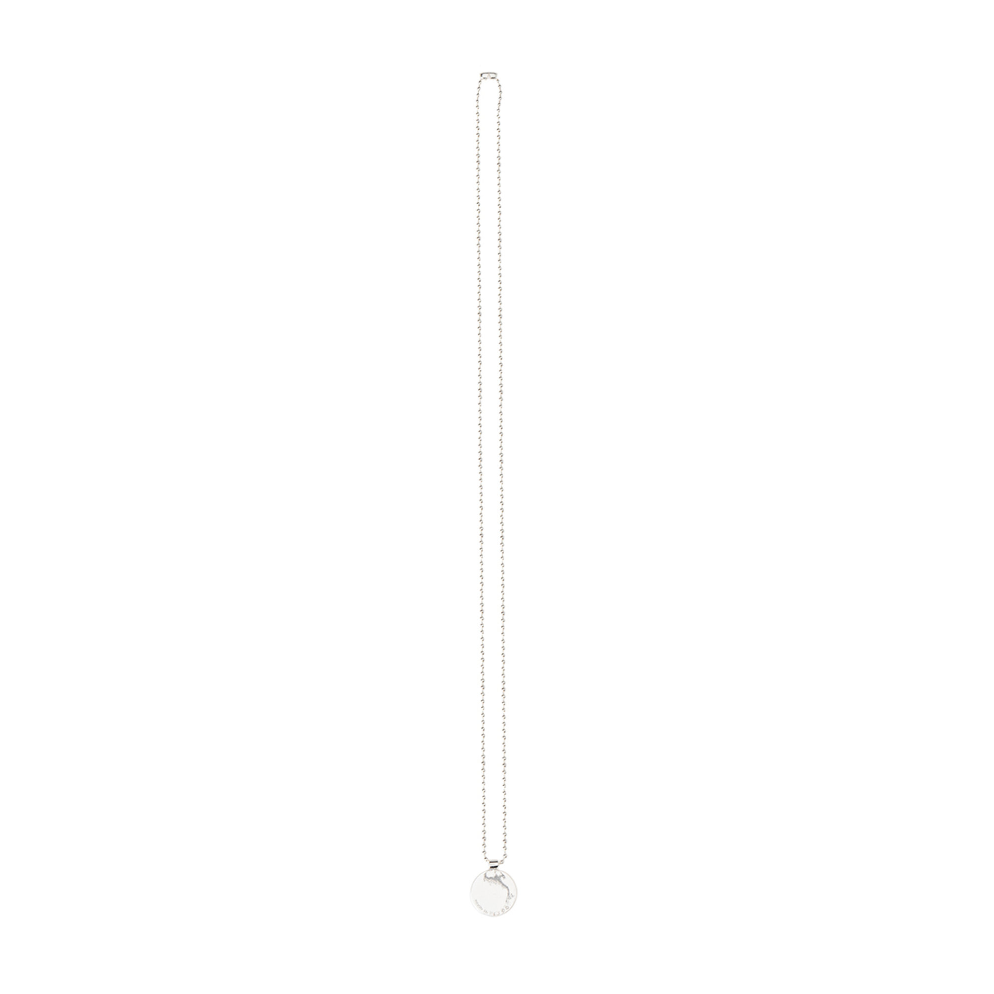 Collana Bassotto Tedesco a pelo duro Silverart vista1