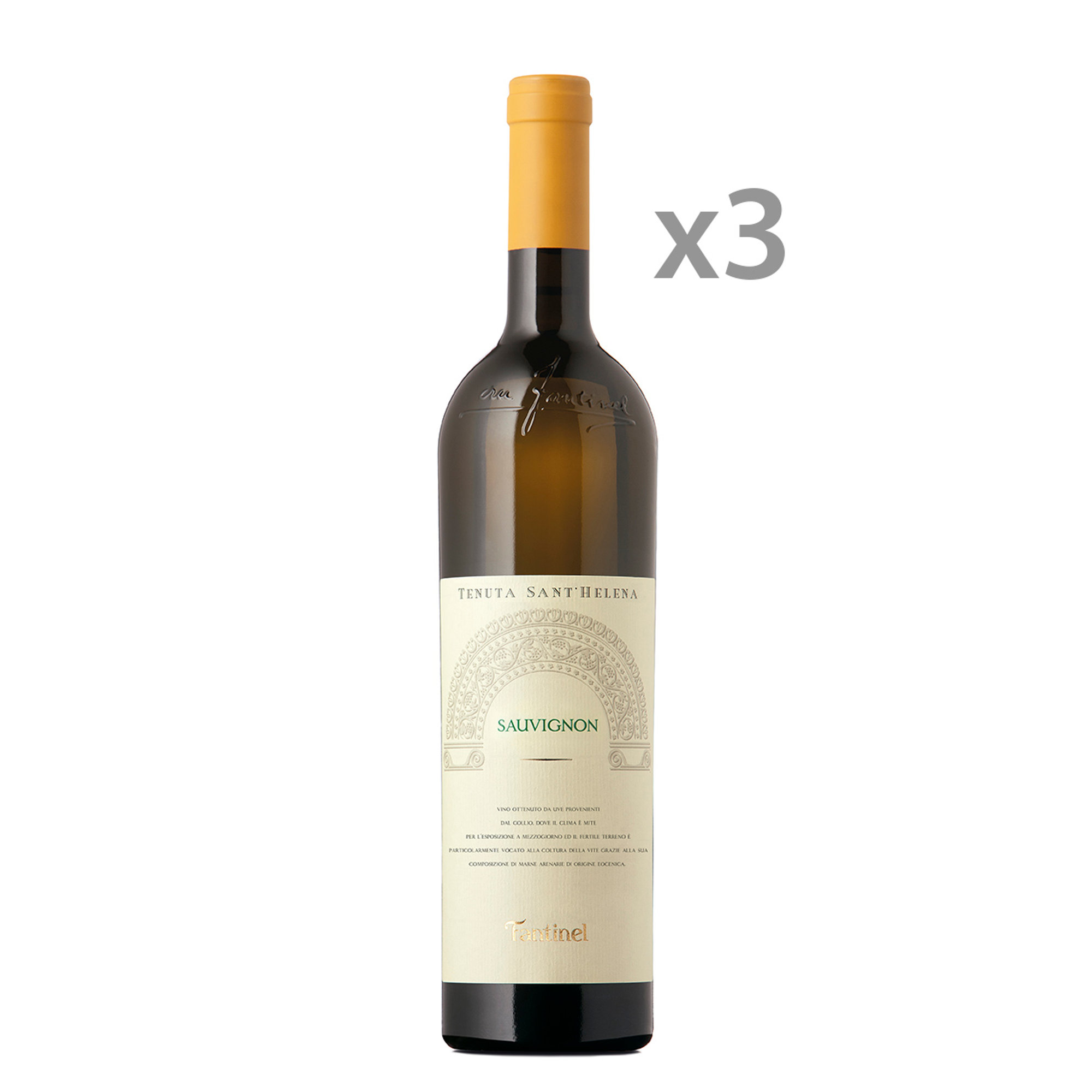 3 bottiglie - "Tenuta Sant'Helena" Sauvignon DOC Collio 2020 Fantinel vista0