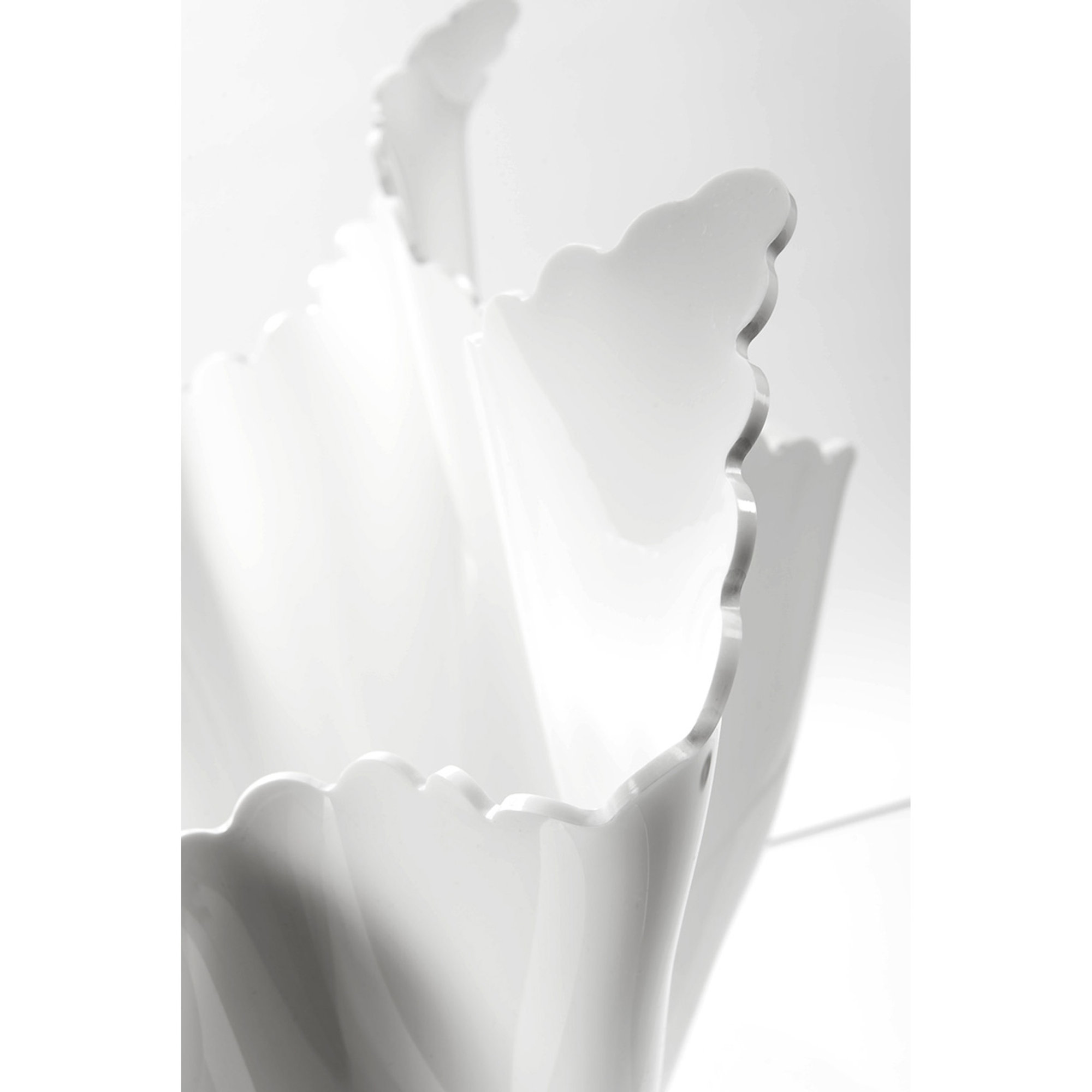 Drappeggi vaso daisy bianco Iplex vista1
