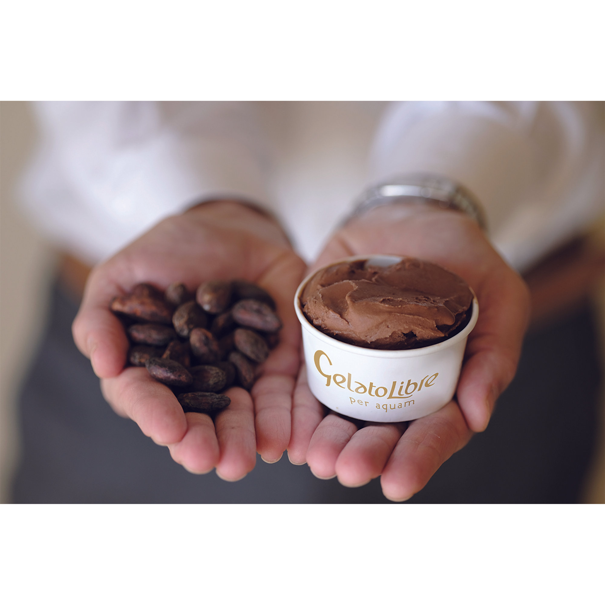 Cioccolato Criollo - mix voor ijs 1 liter Gelato Libre Domori vista13