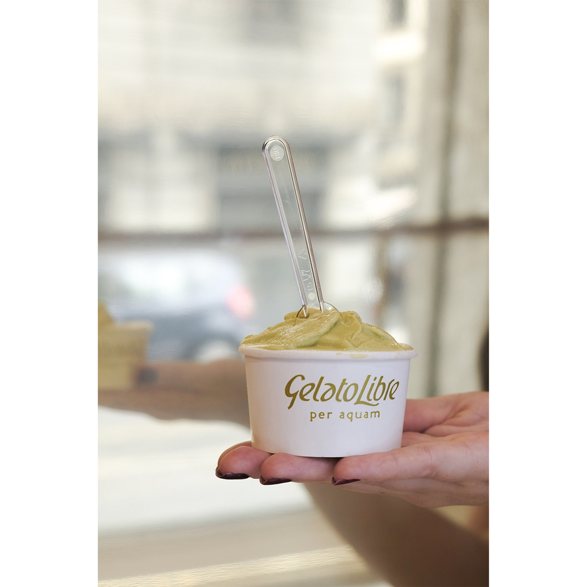 Pistache - bereiding voor ijs 1 l Gelato Libre Domori vista9
