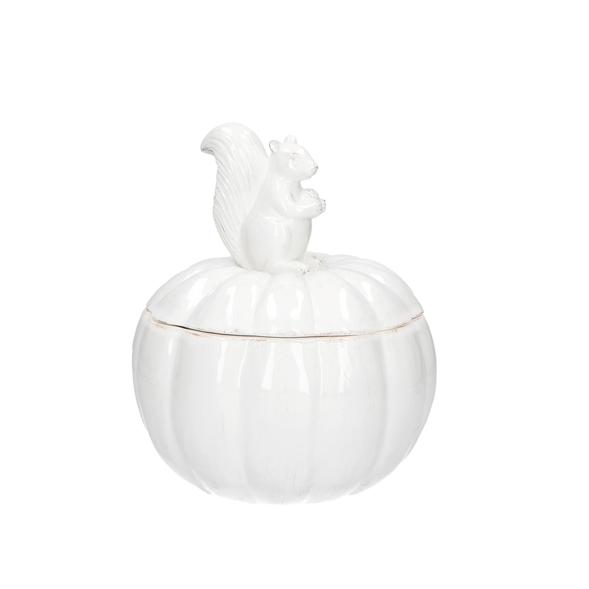 Ghianda Contenitore Zucca in ceramica con scoiattolo Rituali domestici vista0