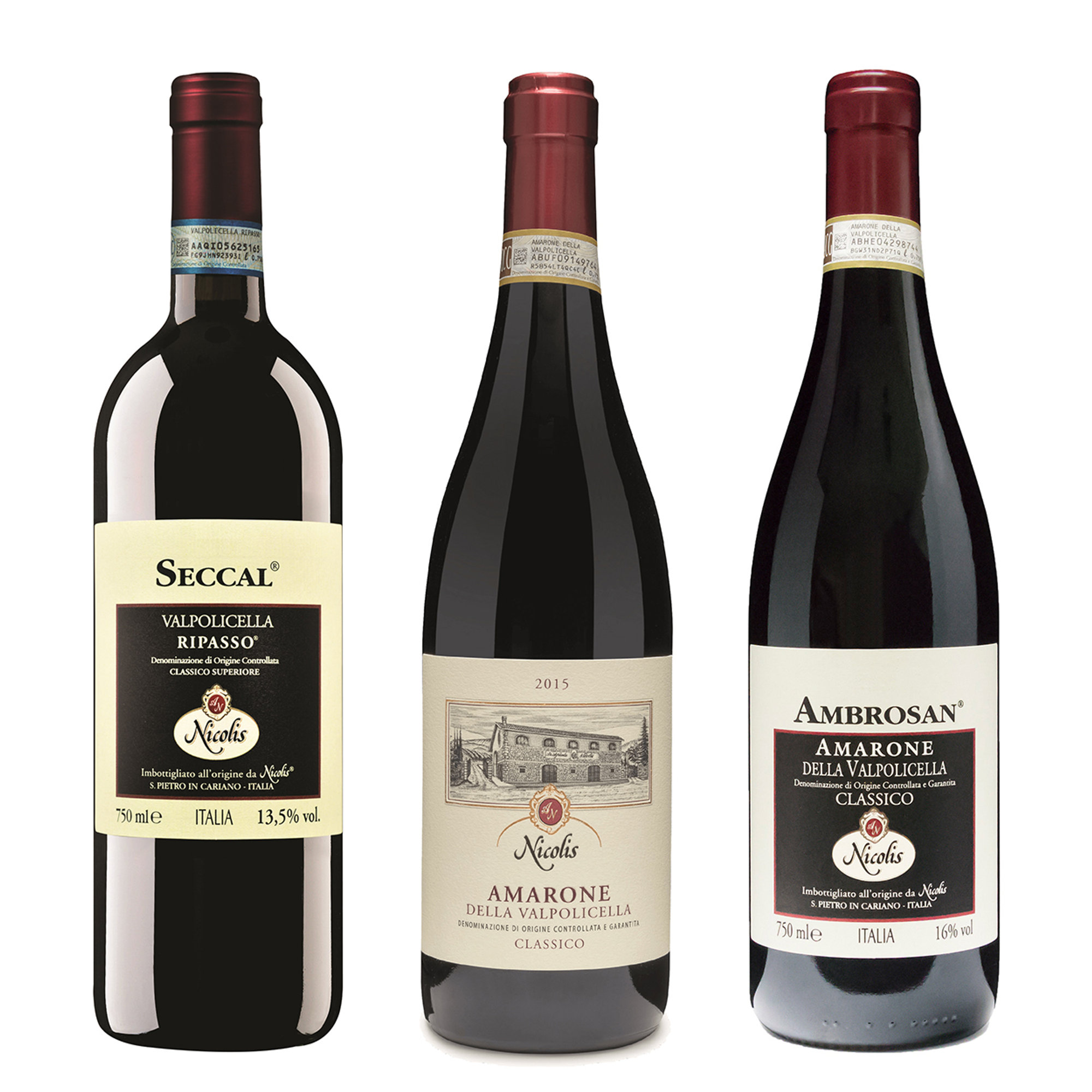 3 botellas mixtas: "Seccal" Valpolicella Ripasso Superiore 2017 - Amarone Classico 2017 - Amarone "Ambrosan" 2011 Nicolis vista0