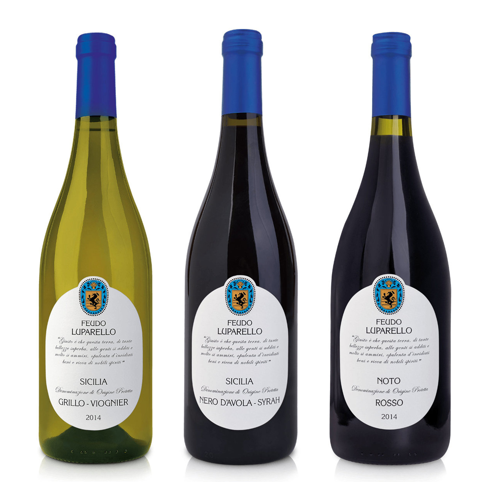 3 bottiglie miste: Grillo Viognier Sicilia DOP 2021 - Nero d'Avola Syrah Sicilia DOP 2019 - Noto Rosso DOP 2016 Feudo Luparello vista0