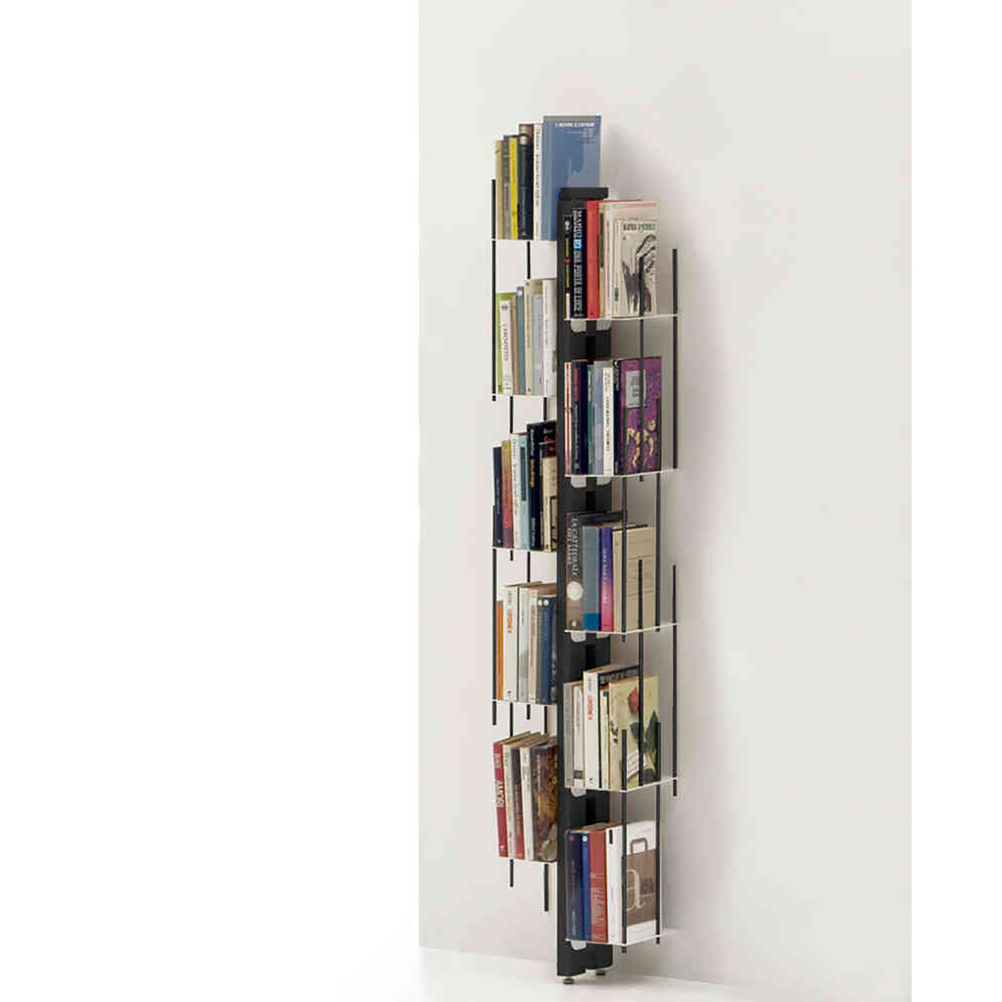 Zia Veronica libreria a parete h150 in faggio tinto nero Le zie di Milano vista0