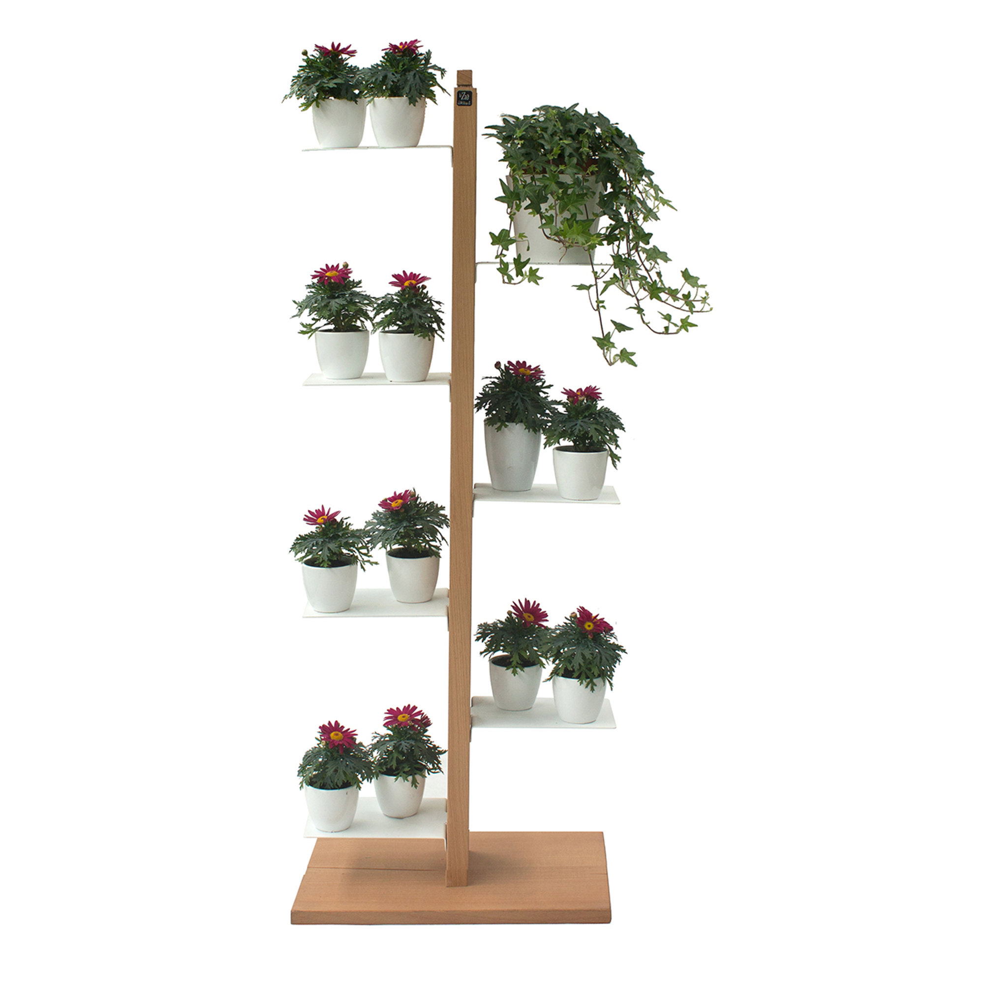 Zia Flora porta piante verticale a colonna h105 in faggio naturale Le zie di Milano vista0