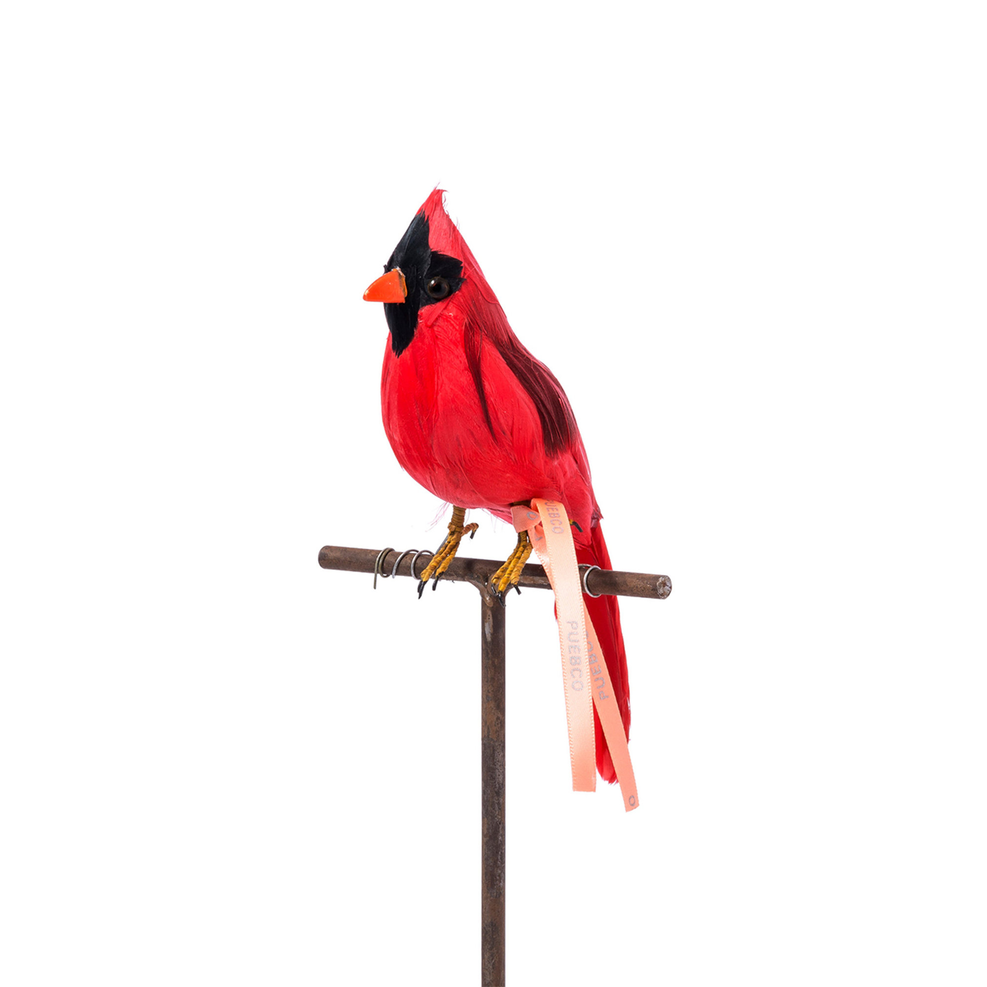 Jilguero rojo Puebco vista0