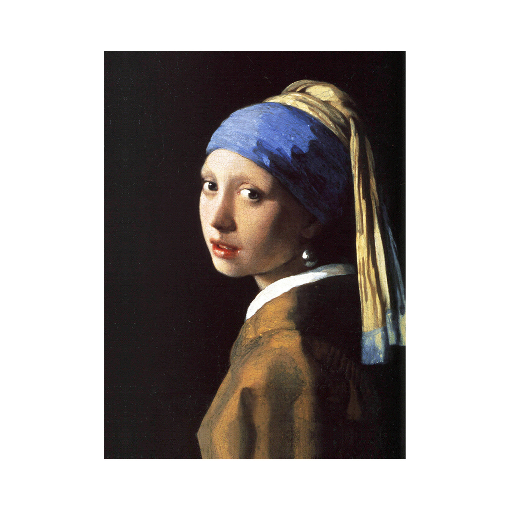 Stampa su tela - Jan Vermeer - La ragazza con l'orecchino di perla L'arte del regalo vista0